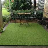 lawn and indoor grass carpets