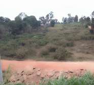 1 ac Commercial Land at Wangige