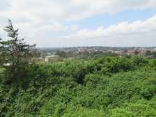 Land at Ngong Town