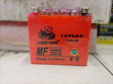 12 volts 9 ampheres dry cell battery