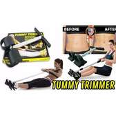 Tummy Trimmer Double Spring Abs Exerciser,