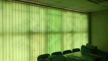 Windows blinds