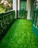 🚨20% OFF! Turn Your Home into a Green Paradise