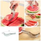 Kitchen Stainless steel Melon cutter