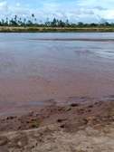120,000 Acres On River Galana in Tana River Is For Sale