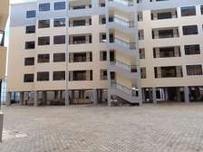 3 Bed Apartment with En Suite at Thindigua Near Police Post