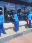 CLEANING SERVICES,FUMIGATION & PEST CONTROL KINOO