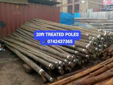 20FT Treated poles for structures