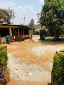 1 ac Land at Banana Raini Road
