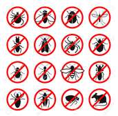 BED BUG Fumigation and Pest Control Services in Nyayo estate