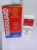 TV/Fridge Guard Voltage Stabilizer