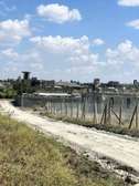 Kitengela milimani plots for sale