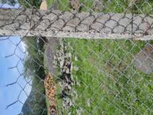 1 ACRE OF LAND IN SOFIA ESTATE HOMA BAY