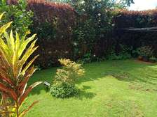 1 Bed Apartment in Kiambu Town