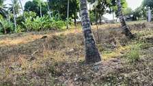 15 ac Land at Bomani
