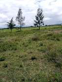 Plots for sale at Syokimau