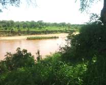420 Acres Fronting Galana River in Malindi Is for Sale