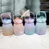Beautiful Pot like motivational water bottles
