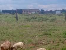 Affordable plots for sale in Ngelani