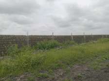 Affordable land and plots for sale in mlolongo