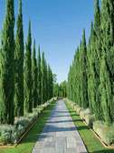 Landscaping solutions