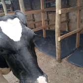 Rubber Cow Mattress