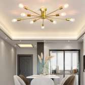 Dimmable Sputnik Sphere Chandelier