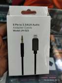 Lightning to 3.5mm AUX Audio Adapter Cable