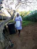 Home Cleaning Service, Nairobi,Kileleshwa, Kitisuru,