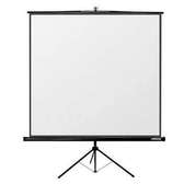 96" x 96" Tripod Portable Projector Screen