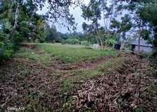 Prime Agricultural Land Spacious Fertile Plot