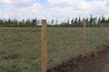 Prime affordable plots for sale in  kitengela