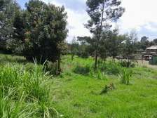 Residential Land at Kikuyu Ondiri