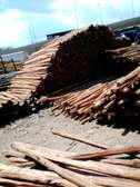 Cedar poles 7ft long ( 5&3 diameter)