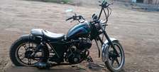 Cruise bike
