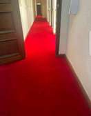 Elegant delta wall to wall carpets