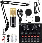 BM800 professional usb recording studio condenser mic