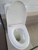 HH-BYGo1- SAWA One piece toilet