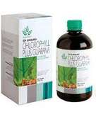 CHLOROPHYLL PLUS GUARANA