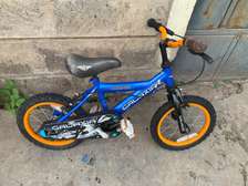 Quality and affordable kids bicycle