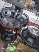 PD 18 Nacked speaker