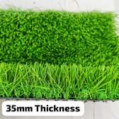 eco friendly turf grass
