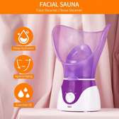 acial Steamer Sauna Facial Treatment And Vapour Inhalation