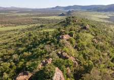 100 ac Land at Lolldaiga Valley