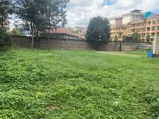 0.32 ac Land at School Lane