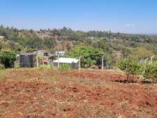 Lovely one eighth plots in Ngong