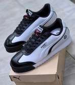 Puma Roma