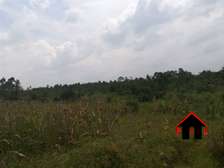 Juja 20 acres  5km from tarmac 8.5m per acre