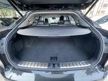 LEXUS RX200t