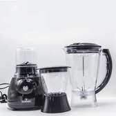 Rashnik Blender with a Grinder